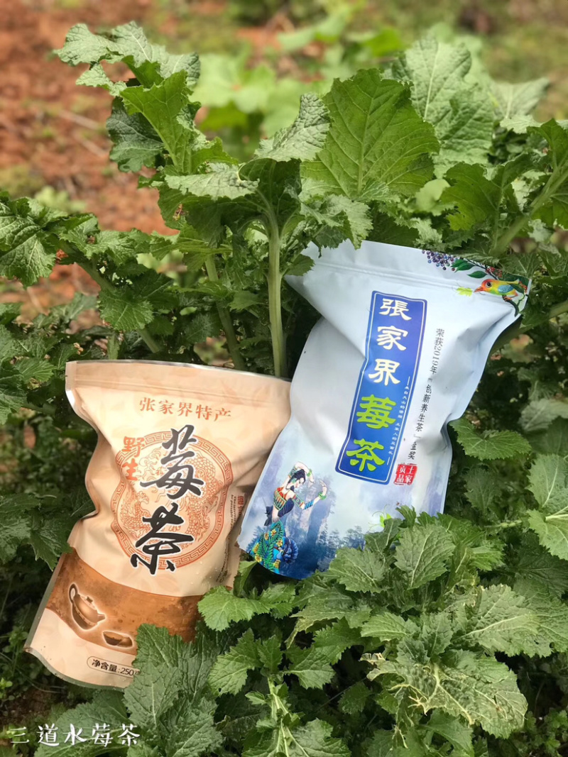 张家界自家莓茶直销