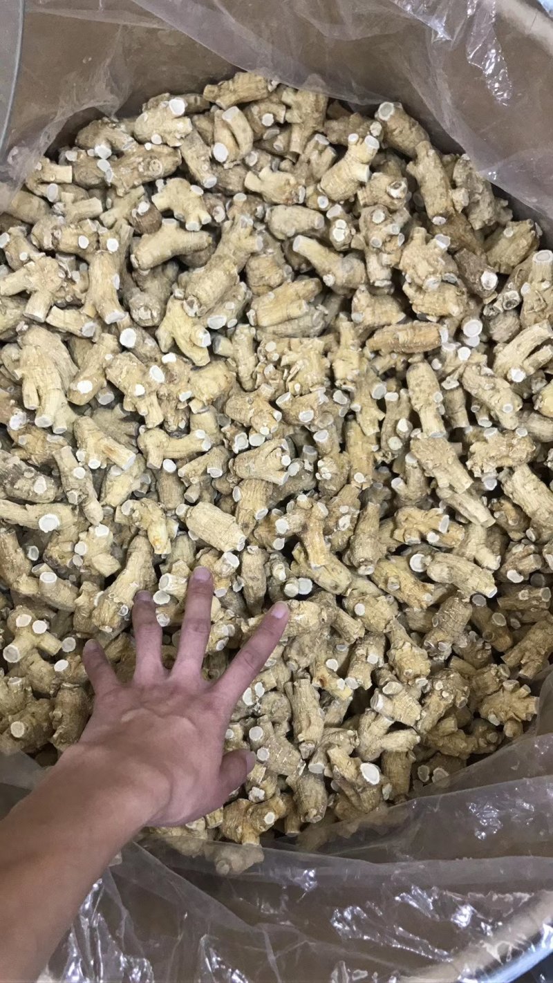 【加拿大西洋参】进口花旗参西洋参粒头切片磨粉干货无硫