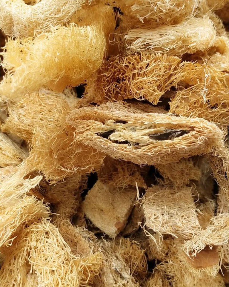 丝瓜络！切段！整棵规格齐全！一手货源大货批发价格优