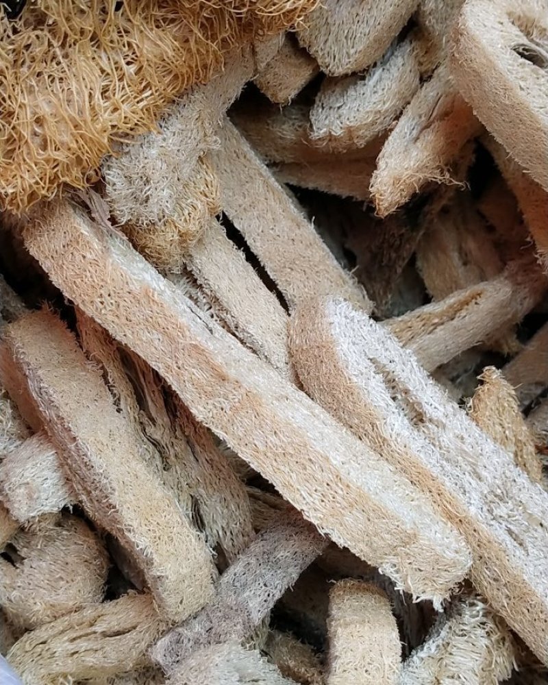 丝瓜络！切段！整棵规格齐全！一手货源大货批发价格优