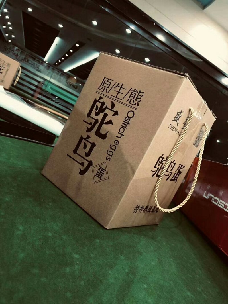 精品鸵鸟蛋