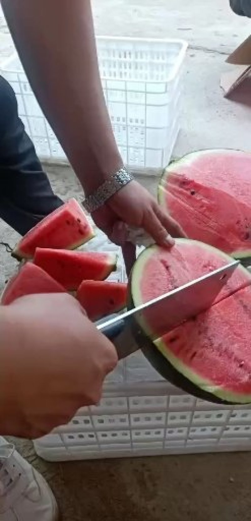 大棚西瓜，大量批发基地直供保质保量