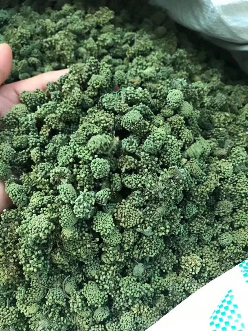 三七花田七花精选特级云南文山产地直销可视频看货