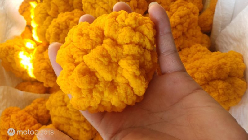 云南干金耳菌鲜金耳金耳菌基地货源大量现货批发