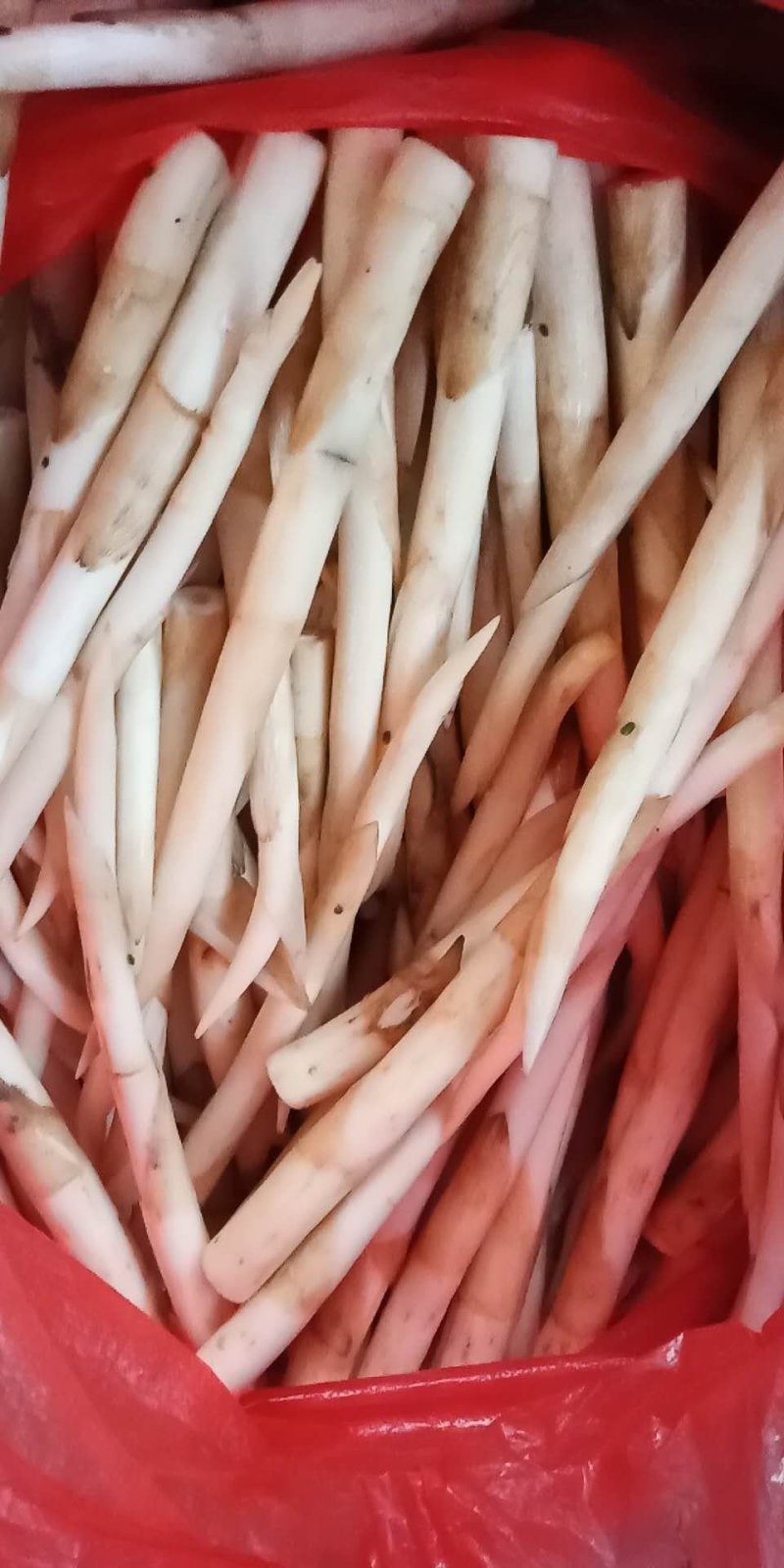 云南精品各种特色野菜板蓝根番杏臧红花田七