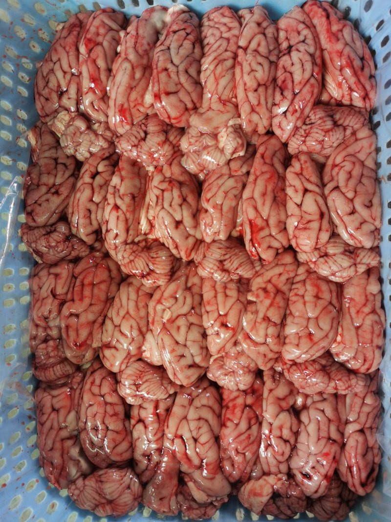 精脑花
