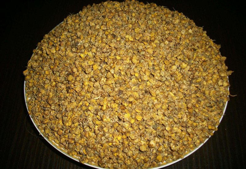 大别山野菊花，高含量野菊花颗粒，粒粒饱满，颗颗精品