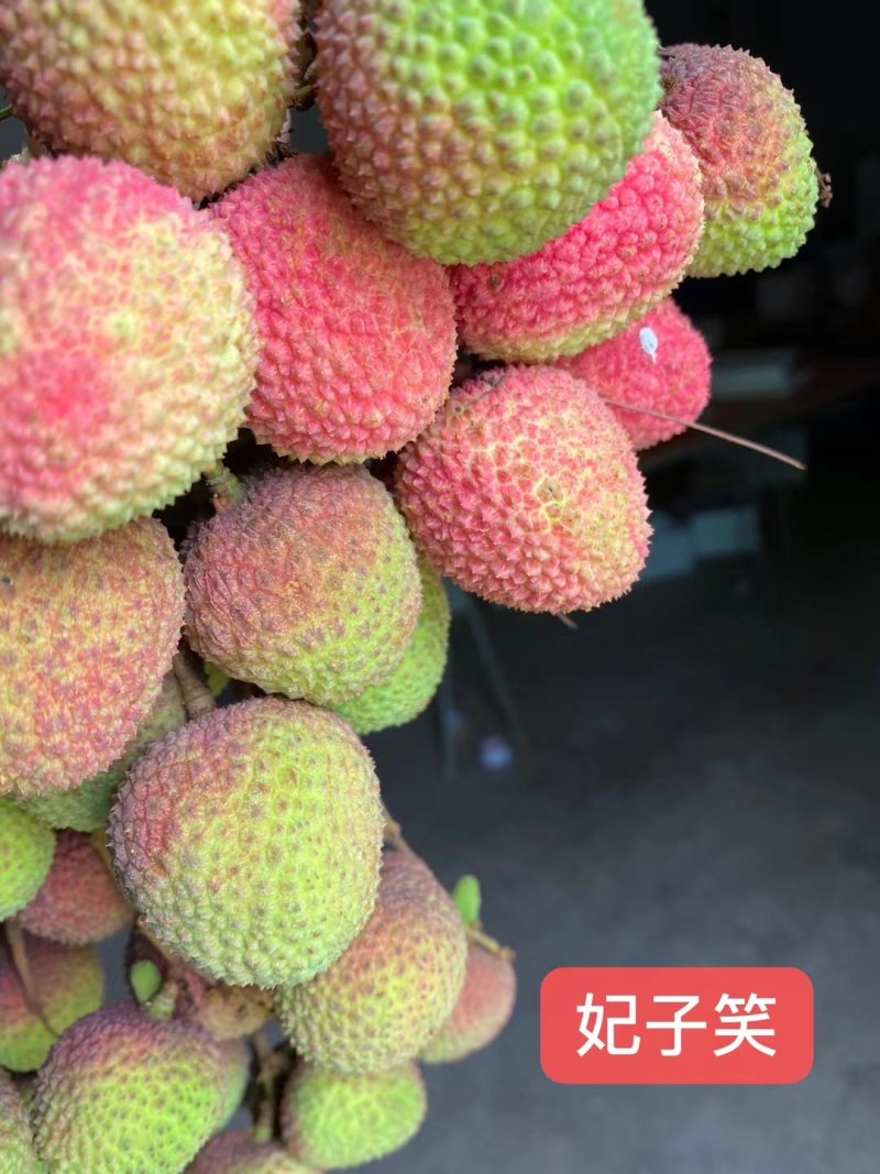 荔枝