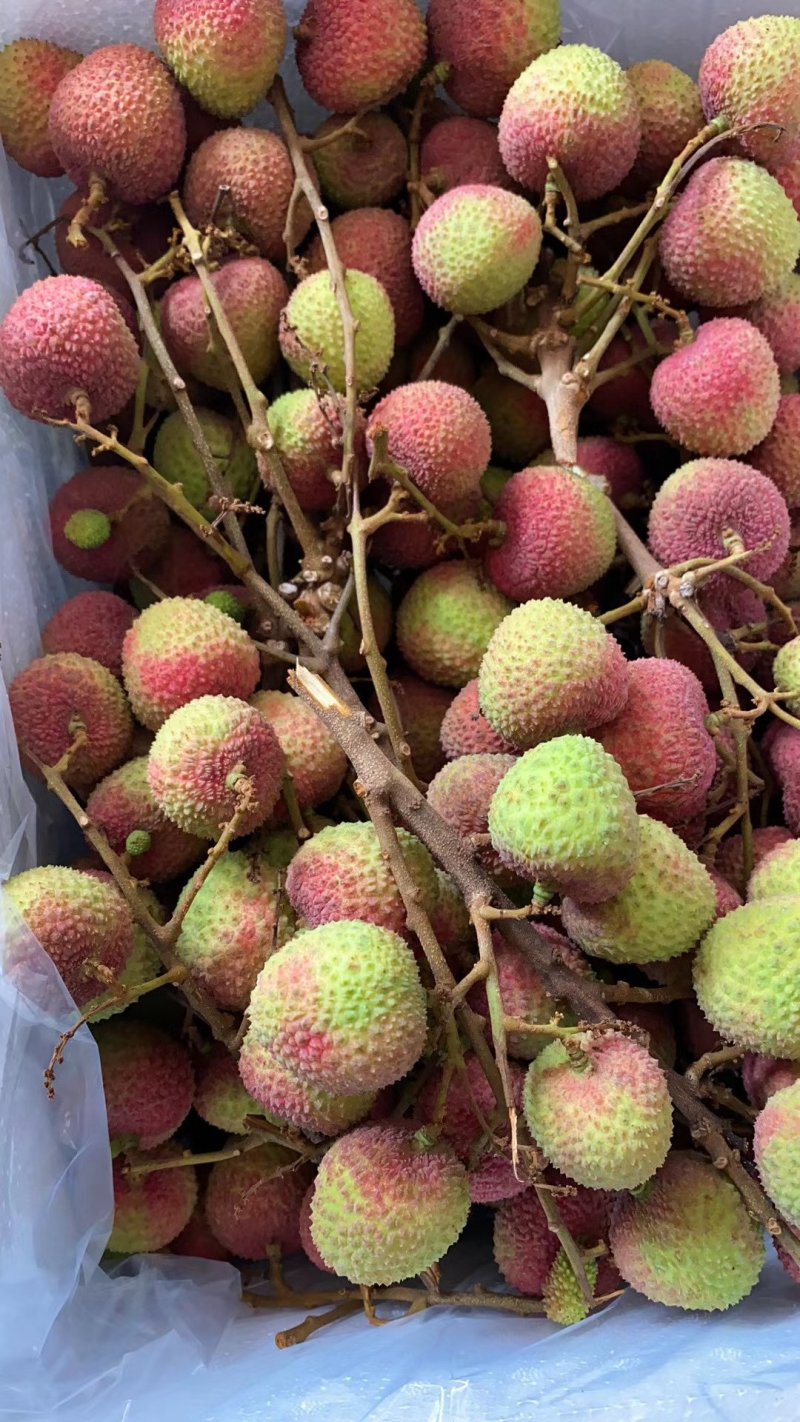 荔枝