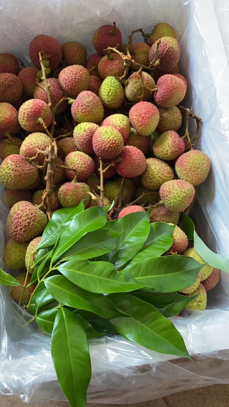 荔枝