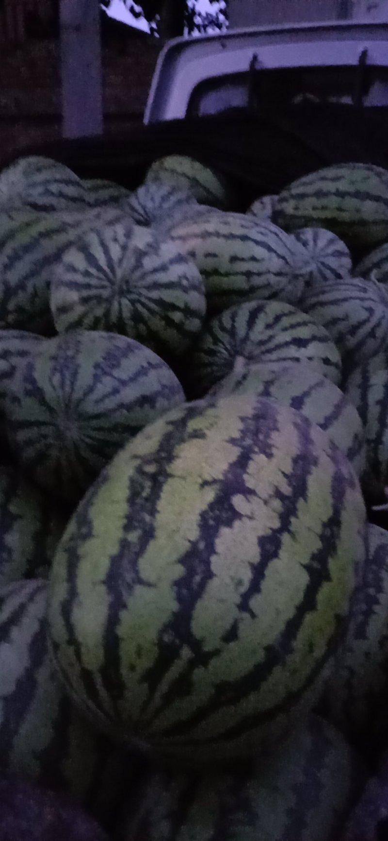 西瓜