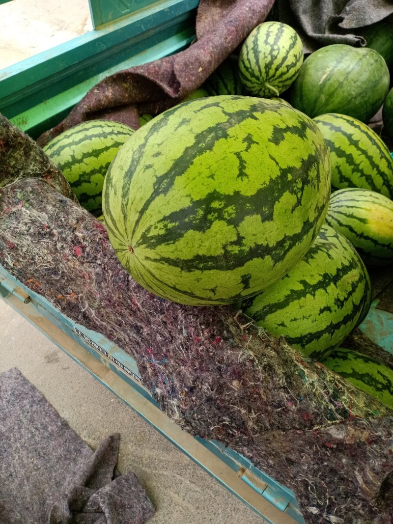 西瓜