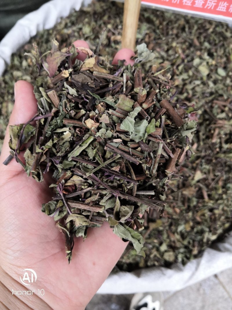 中药材猫须草肾茶2022新货无硫产地直销
