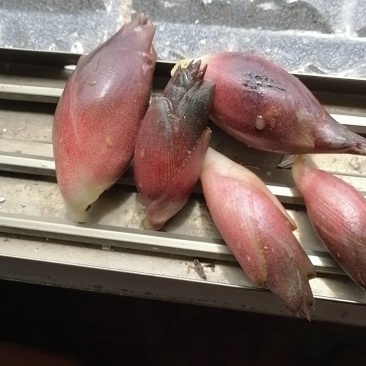 洋荷洋荷