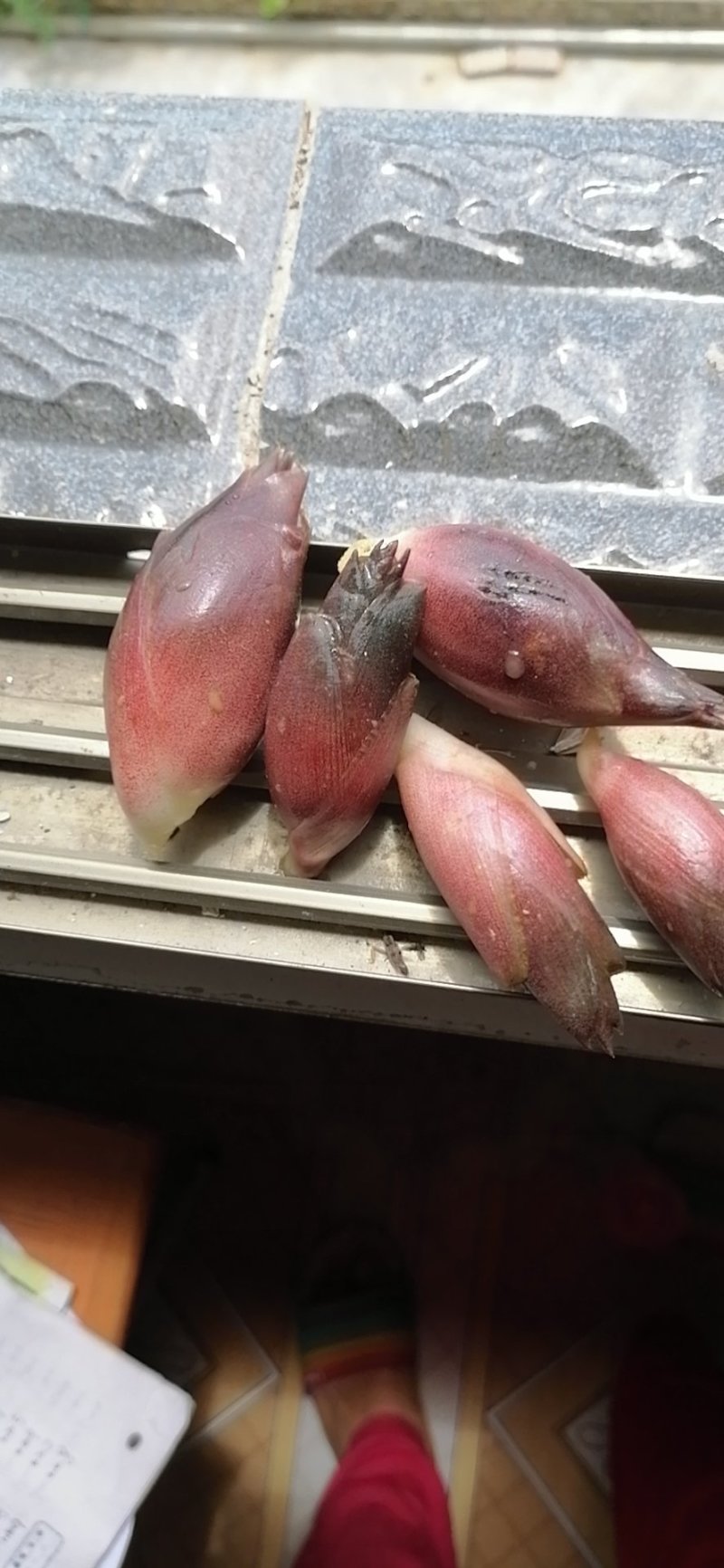 洋荷洋荷