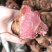 广东省包邮，新鲜野生红肉土茯苓，量大从优，质量保证