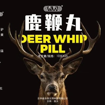 《明轩鹿业》吉林正品男士鹿鞭膏