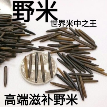 米进口米珍稀大米米中的鱼子酱养生米进口米454克一袋包邮