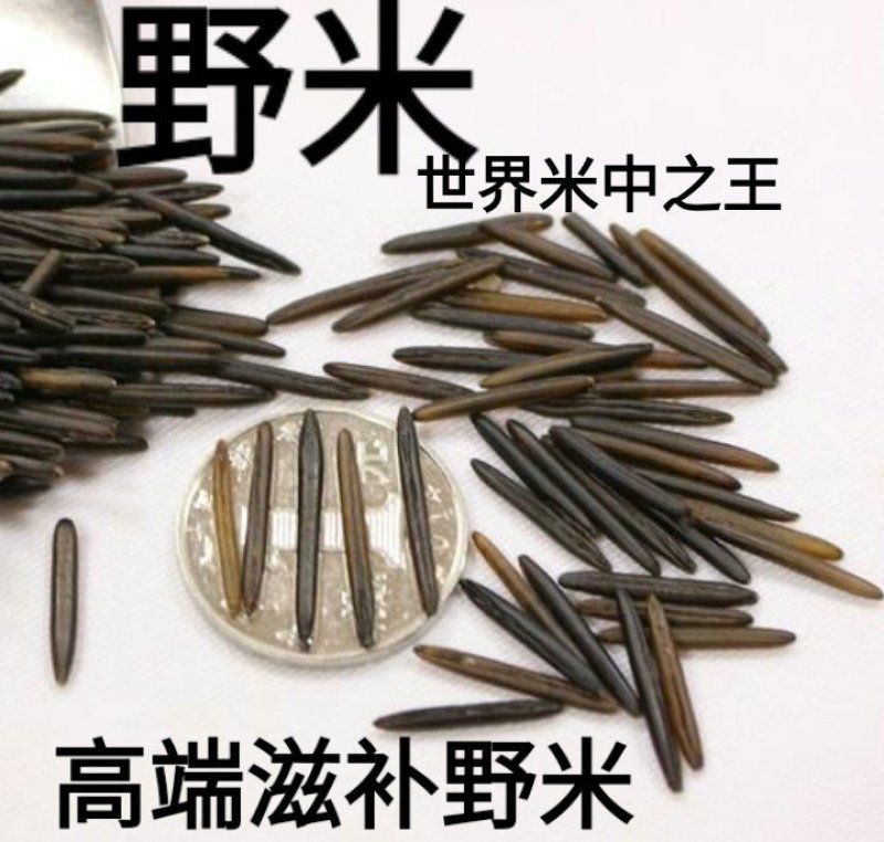 米进口米珍稀大米米中的鱼子酱养生米进口米454克一袋包邮