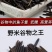 米进口米珍稀大米米中的鱼子酱养生米进口米454克一袋包邮