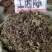 土茵陈（牛至）纯野生，一斤起售，量大优惠