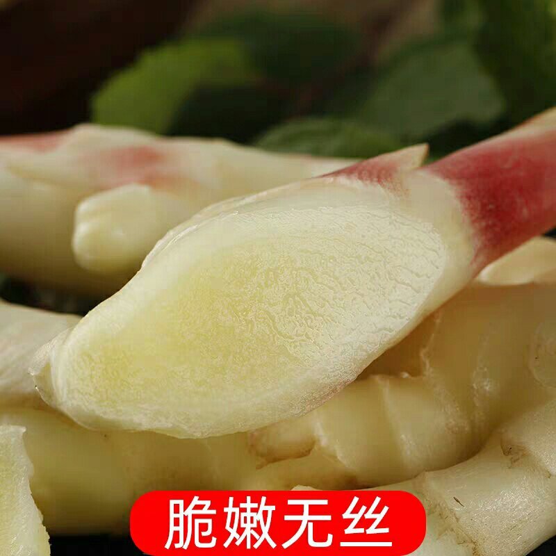 [一件代发]嫩姜生姜新鲜仔姜5斤装鲜姜嫩姜芽红芽子姜新姜