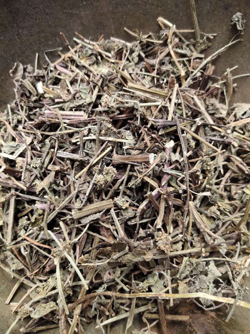 薄荷野生薄荷，量多优惠产地直销。。。。。。