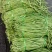湖北豇豆荆门长豆青色60公分上可打冷产地直发欢迎来电
