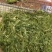 秸秆回收机小麦秸秆回收机牧草收割机苜蓿青储机