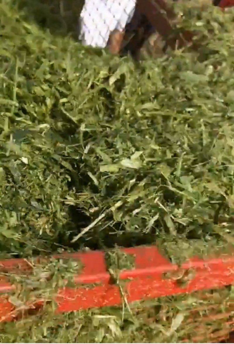 秸秆回收机小麦秸秆回收机牧草收割机苜蓿青储机