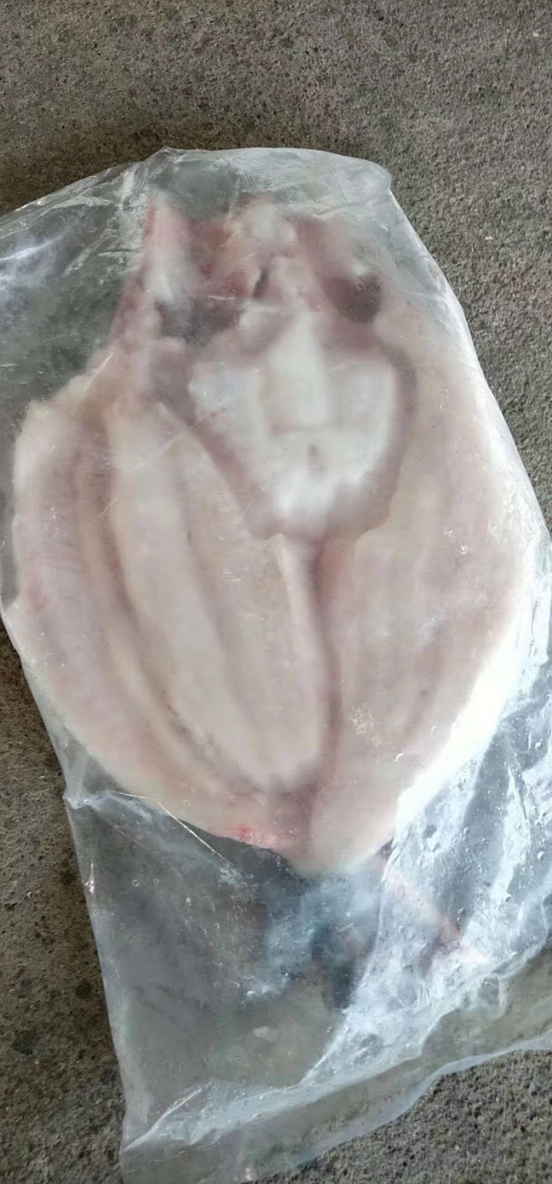 进口巴沙鱼龙利鱼湄公鱼