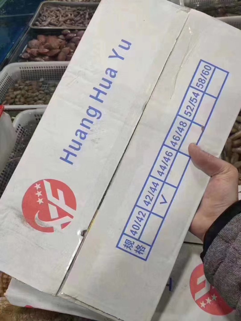 新鲜好吃价格便宜的黄花鱼