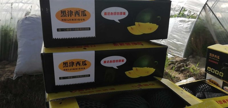 黑津王炸西瓜东台黑金非特小凤黑皮黄心瓤无籽新鲜水果顺丰包