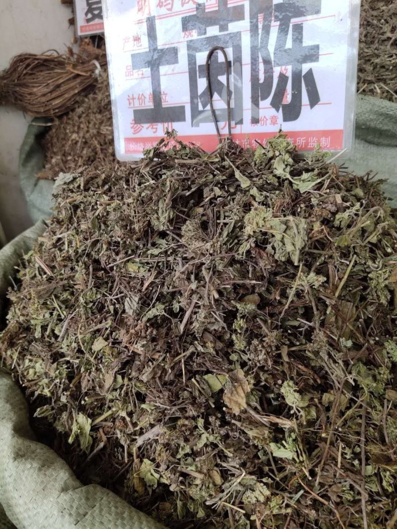 土茵陈（牛至）纯野生，一斤起售，量大优惠