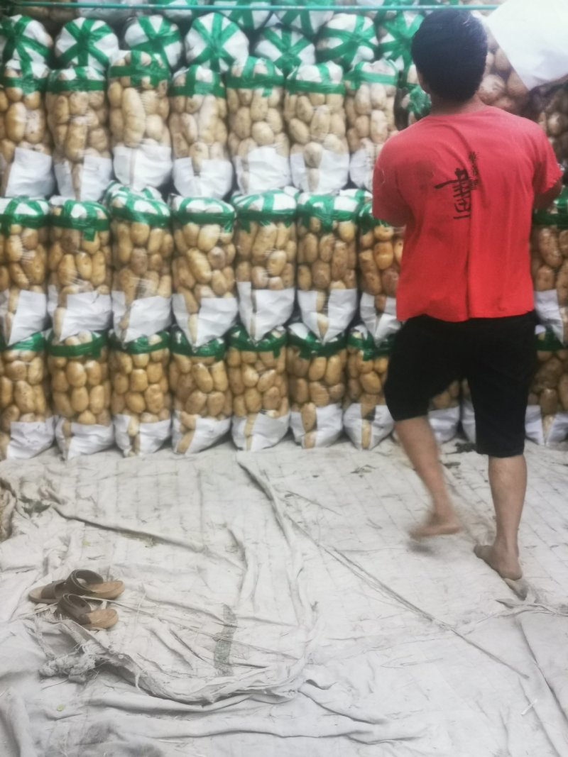 荷兰十五土豆2两以上～～～～～～～～～～