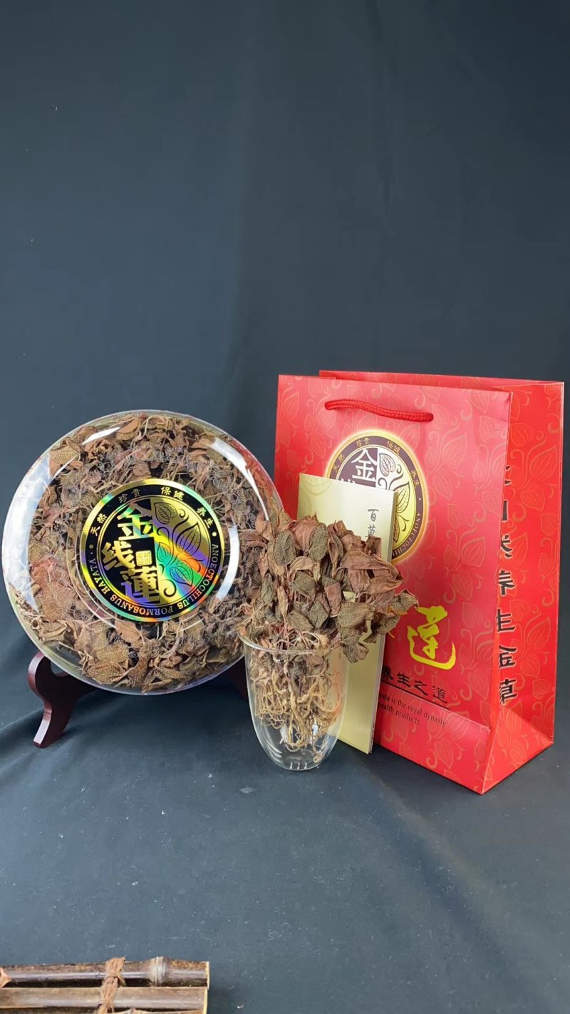 福建南靖产地A货金线莲干品货源充足