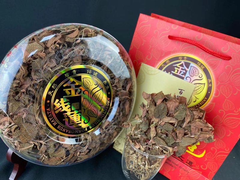 福建南靖产地A货金线莲干品货源充足