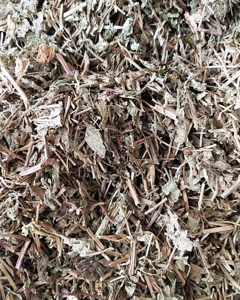 薄荷野生薄荷，量多优惠产地直销。。。。。。