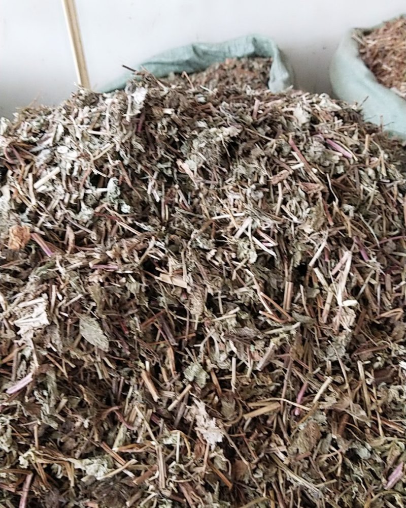 薄荷野生薄荷，量多优惠产地直销。。。。。。