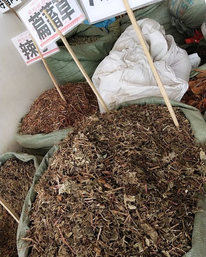 薄荷野生薄荷，量多优惠产地直销。。。。。。