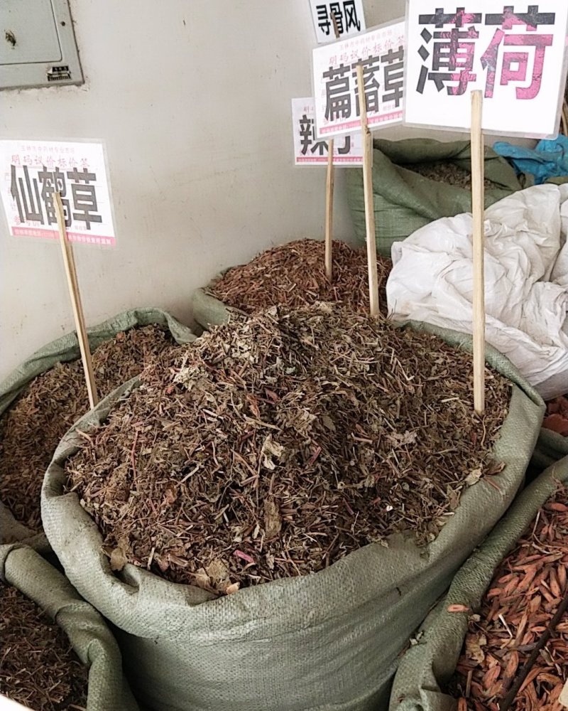 薄荷野生薄荷，量多优惠产地直销。。。。。。