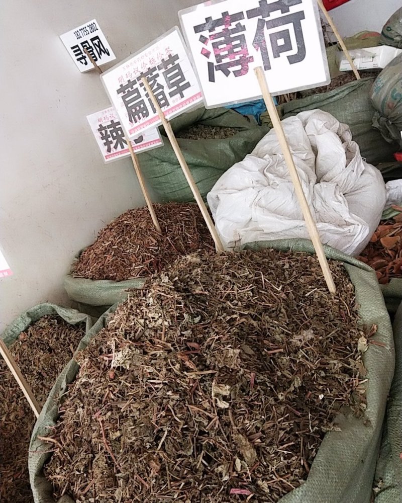 薄荷野生薄荷，量多优惠产地直销。。。。。。