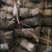 黄山农家枕头棕纯手工传统农家火腿肉粽