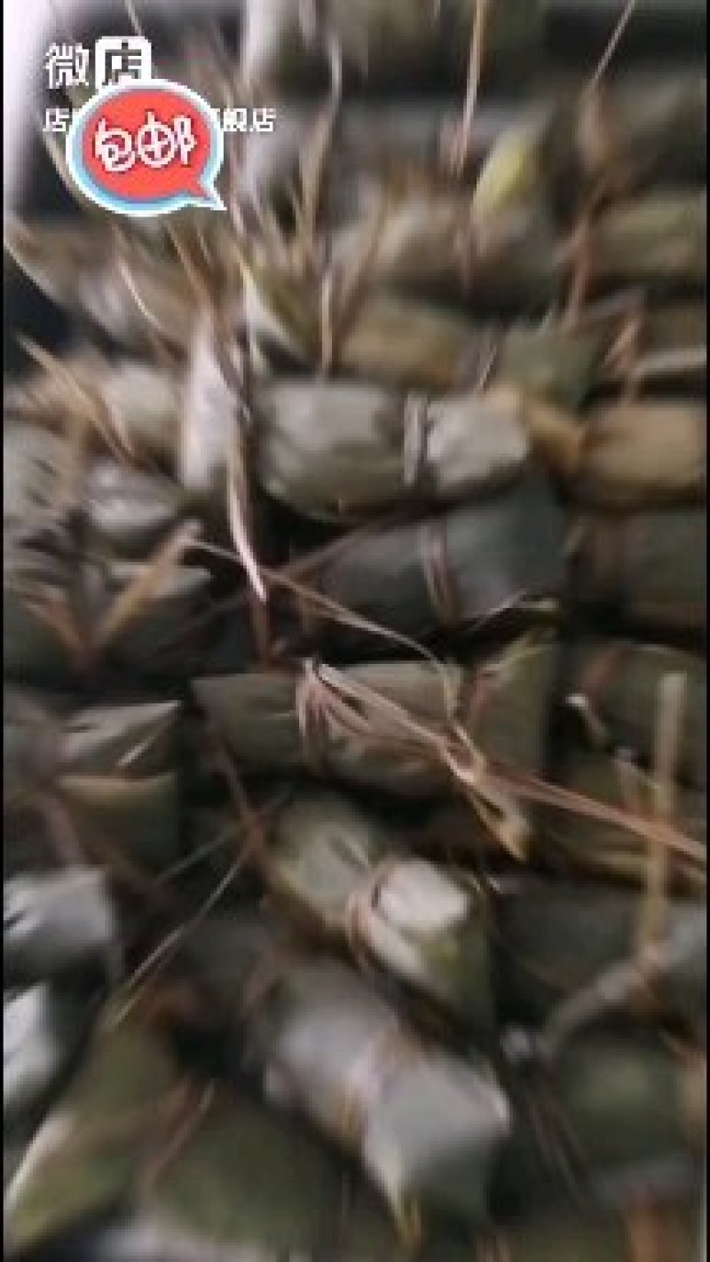 黄山农家枕头棕纯手工传统农家火腿肉粽
