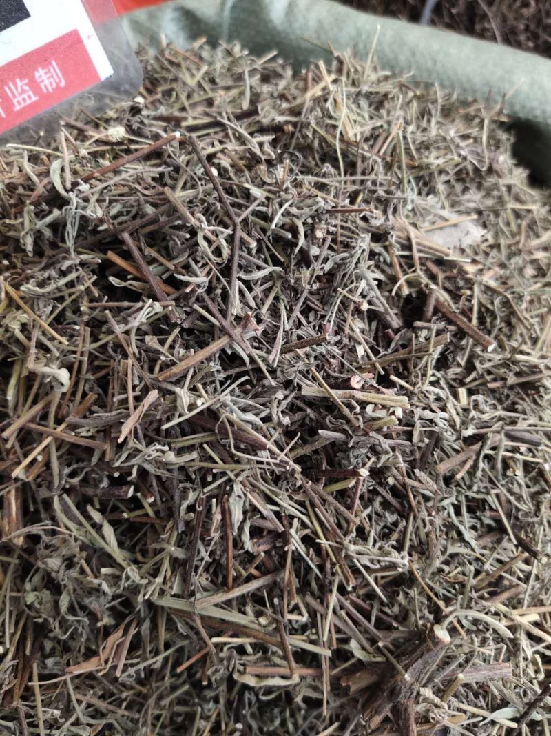 香薷草一斤起售，量大优惠