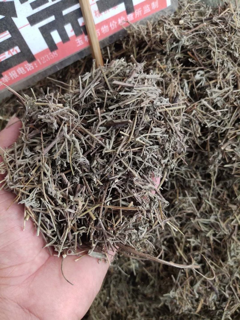 香薷草一斤起售，量大优惠