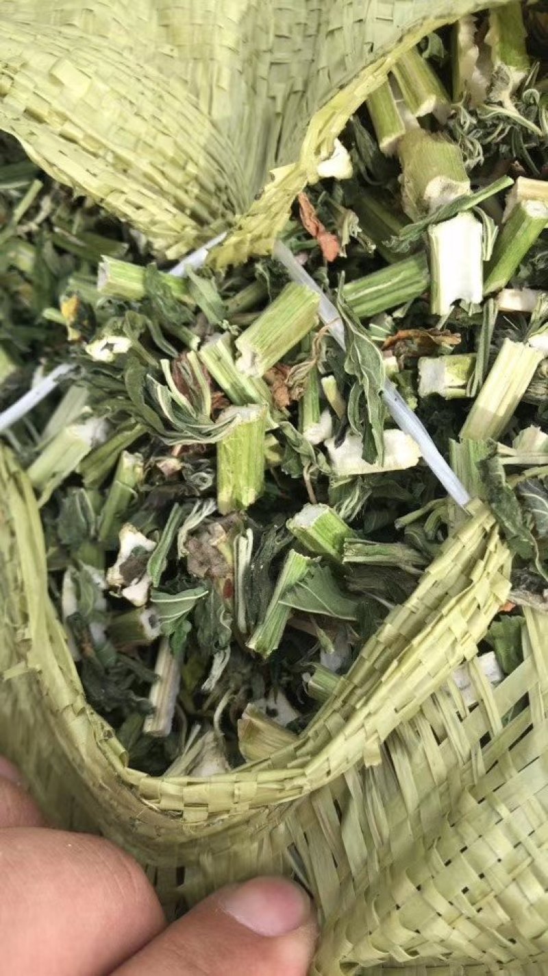 益母草2斤起售，产地直销，量大优惠