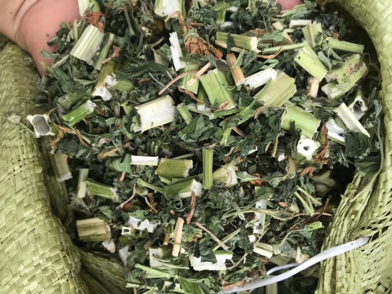 益母草2斤起售，产地直销，量大优惠