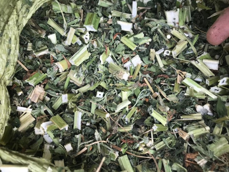 益母草2斤起售，产地直销，量大优惠