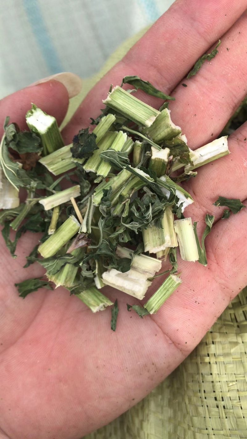 益母草2斤起售，产地直销，量大优惠